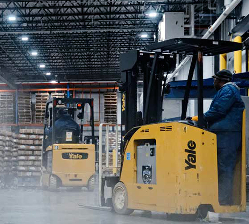 Workers operating forklifts in a cold storage warehouse.